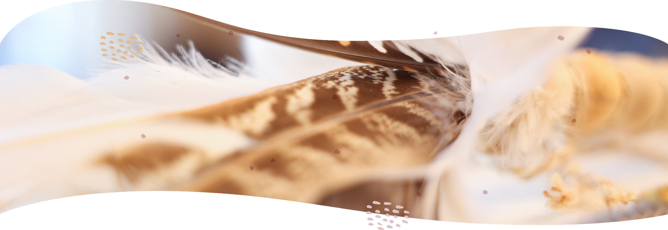 header_image