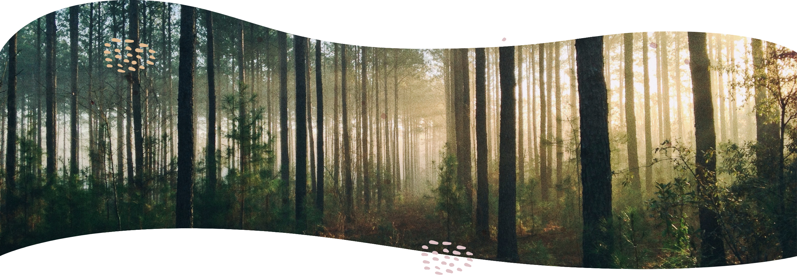 header_image